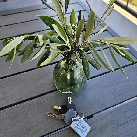 Luxury Nicole 2 Appartement *